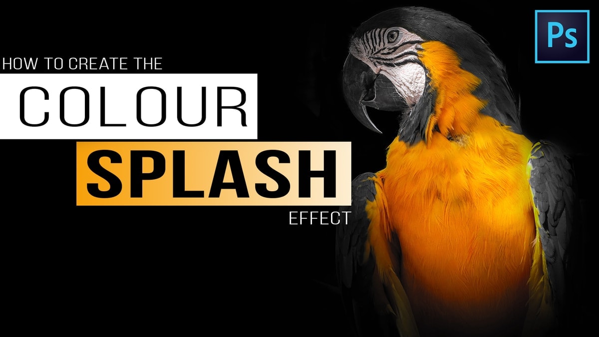 How To Make A Photo Black And White Except One Colour In Photoshop