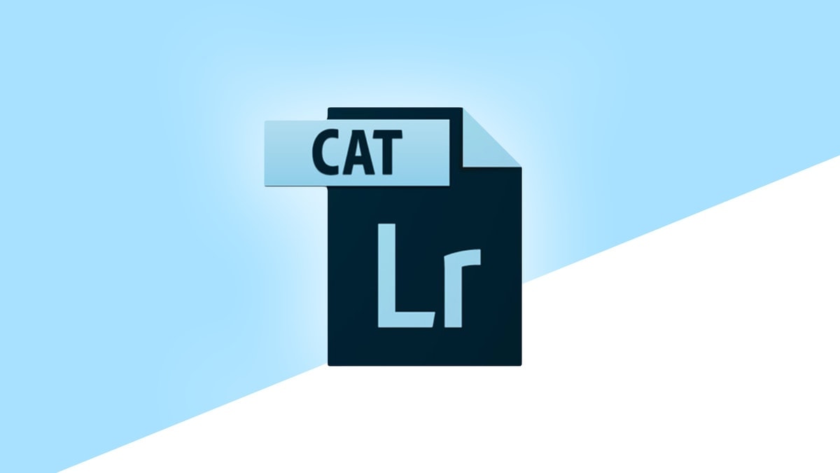 How To Move A Lightroom Catalog To A New Location