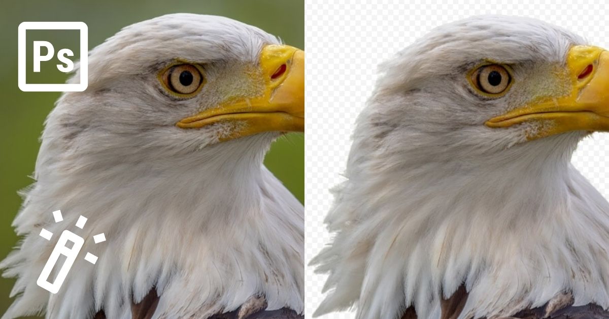 How To Use The Magic Wand Tool In Photoshop