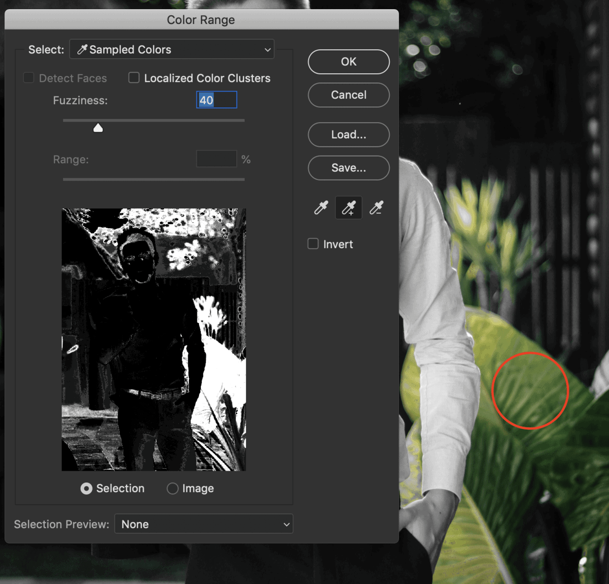Screen Shot 2020-01-14 at 9.29.34 AM