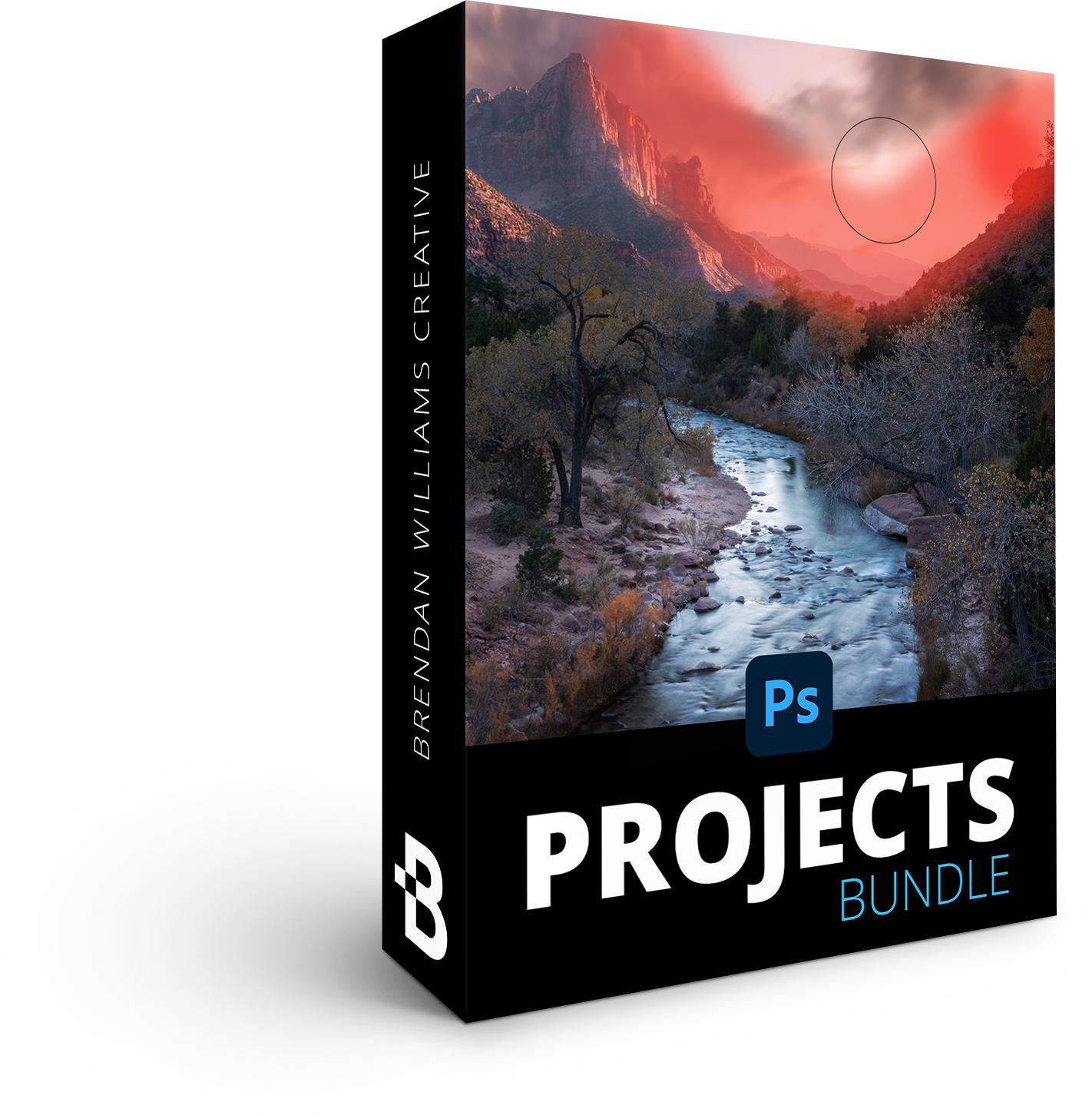 Projects Bundle mockup