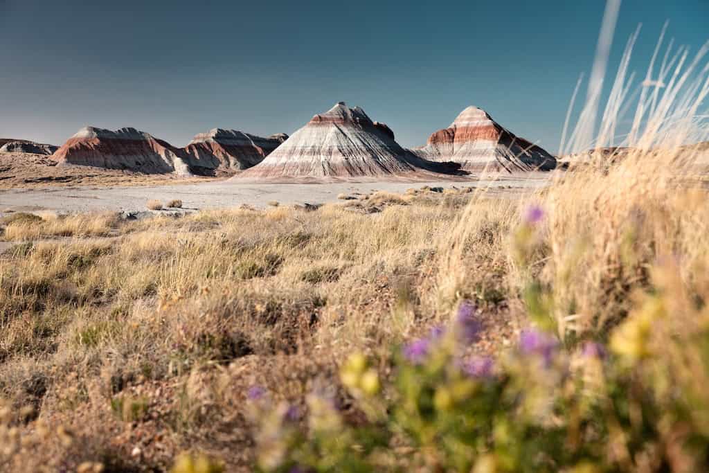 Photography by Brendan Williams