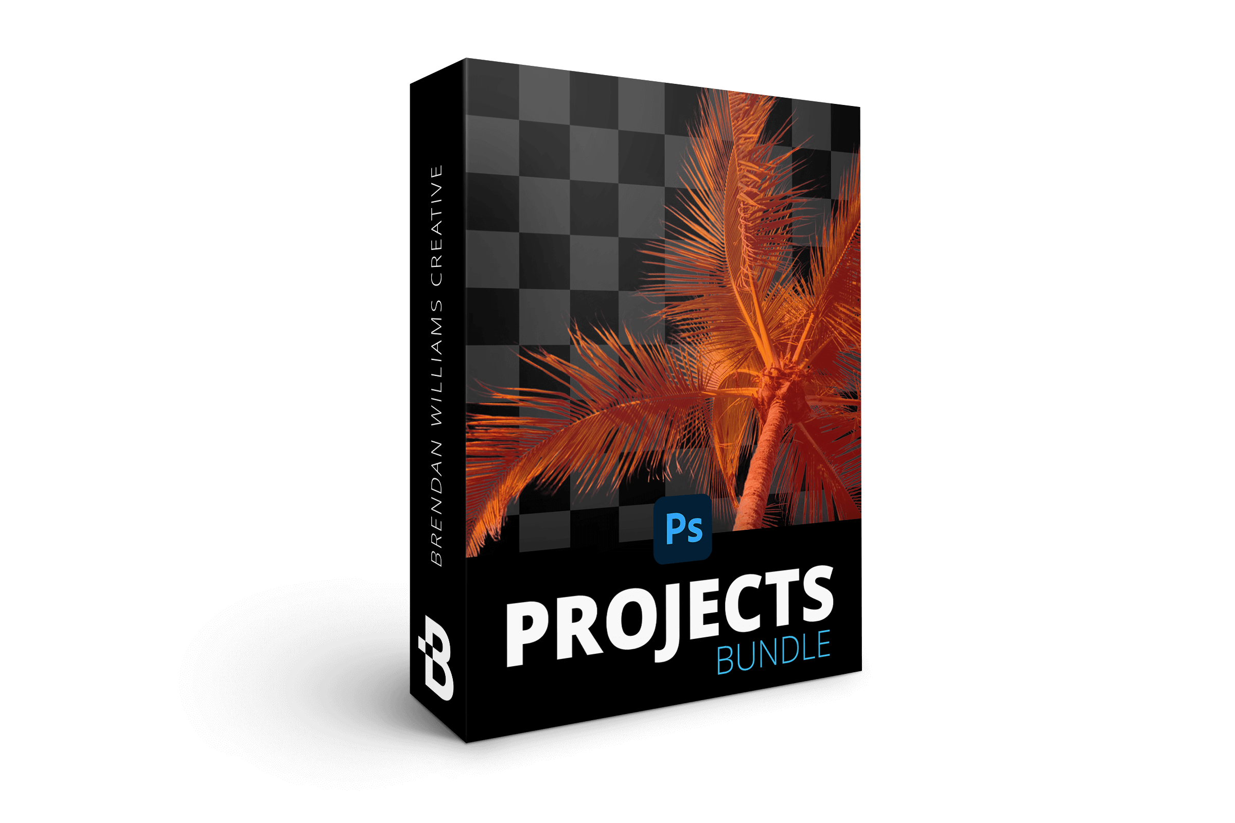 Selections projects bundle