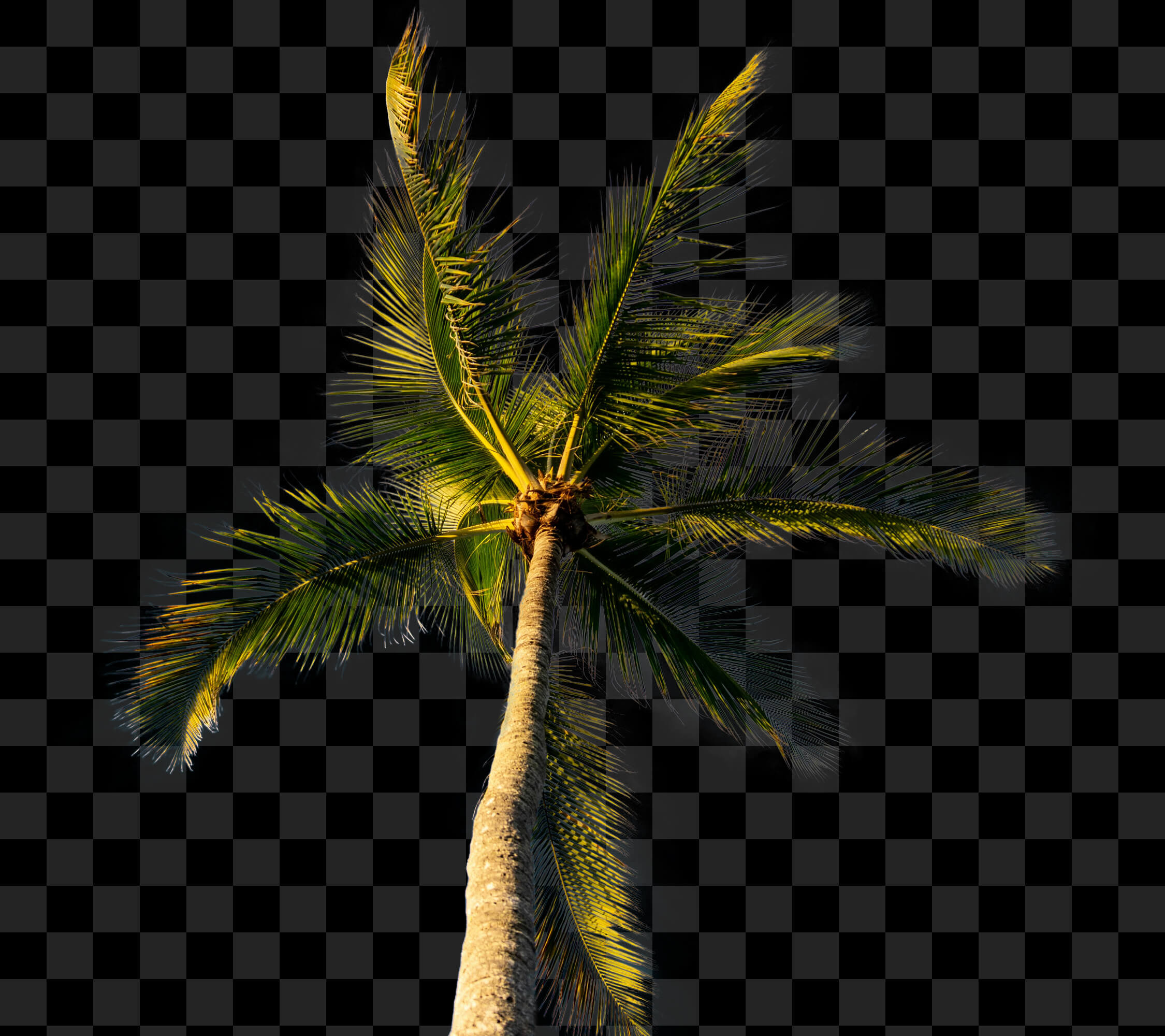 Complex cutout after refinement
