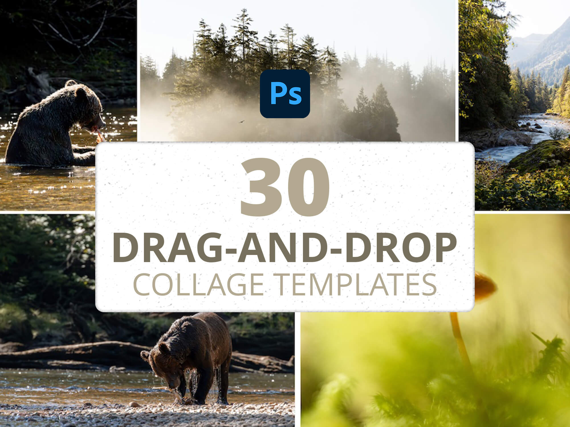Drag and drop Photoshop collage templates